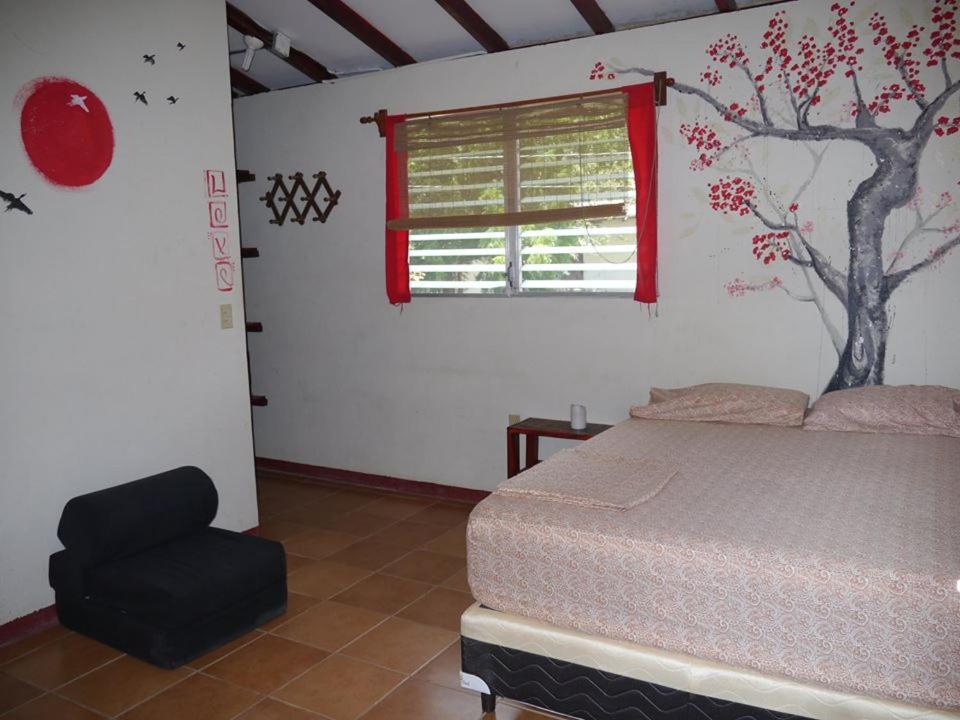 Free Spirit Hostel Transito Exterior foto